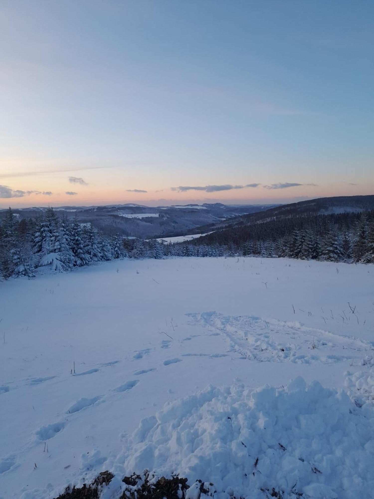 Haus Konthe, Appartement Winterberg Eksteriør billede